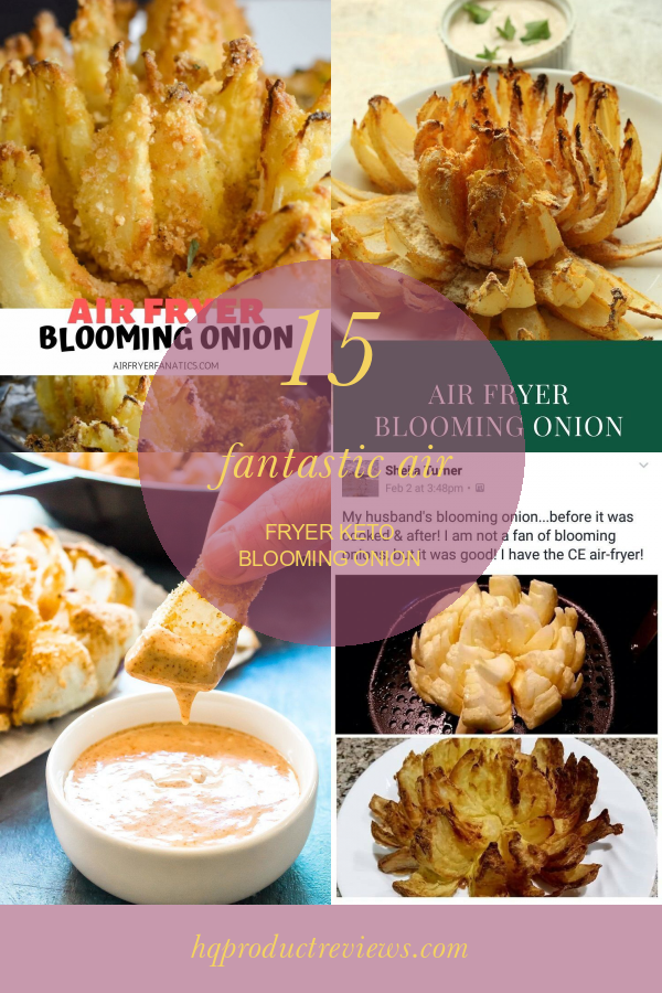 15 Fantastic Air Fryer Keto Blooming Onion Best Product Reviews